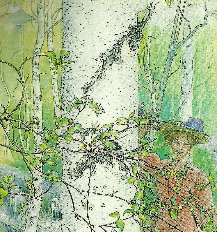 Carl Larsson varen-flicka vid bjork oil painting image